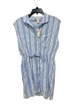 Japna Light Blue Striped Button-Front Sleeveless Dress
